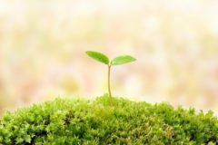 初心者歓迎！舗装工事のプロフェッショナルを目指す道筋